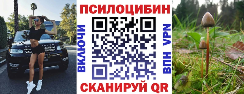 блэк спрут вход  Ессентуки  дарк нет телеграм  Псилоцибиновые грибы Psilocybine cubensis 